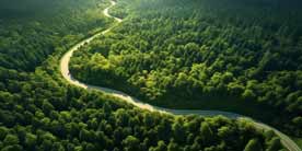 Luftaufnahme einer bewaldeten Landschaft mit Straße – Symbol für sicheren Weg mit Implantaten